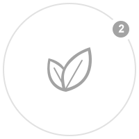 以太坊和比特币区块链钱包